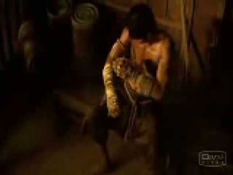 torrent muay thai training